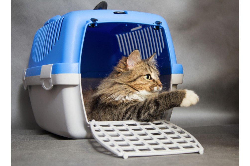 5446_26_10_2019_13_37_51-1005x670